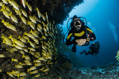 Diver underwater